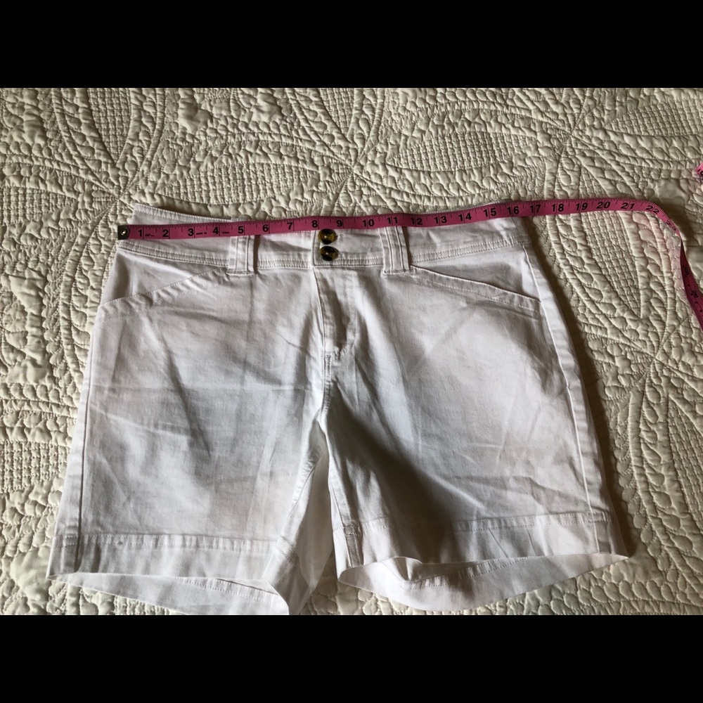 Crazy Shirts Shorts